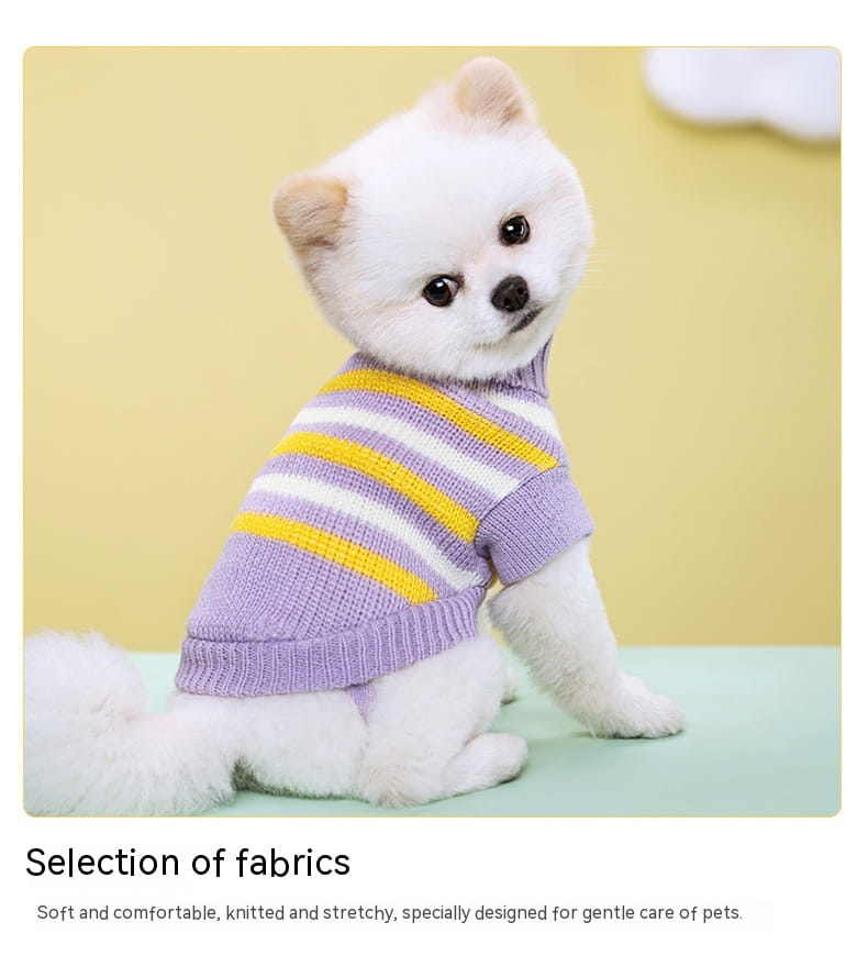 Ein flauschiger weißer Pomeranian, der einen lavendel- und gelbgestreiften gestrickten Hundepullover aus Wolle für Haustierbekleidung trägt.