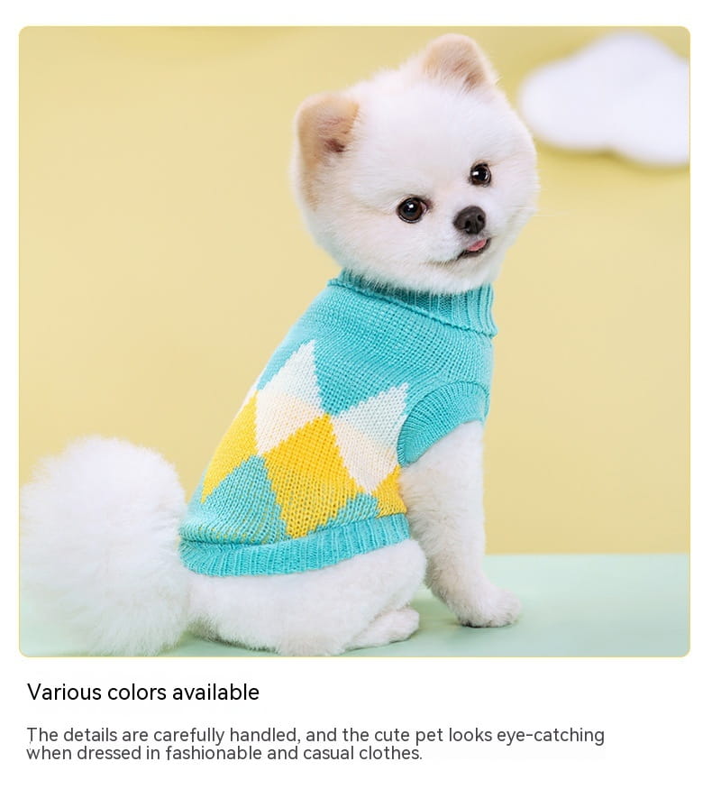 Ein flauschiger weißer Pomeranian, der einen petrolgelben und cremefarbenen Zackenmuster- (Argyle-) gestrickten Hundepullover aus Wolle für Haustierbekleidung trägt.
