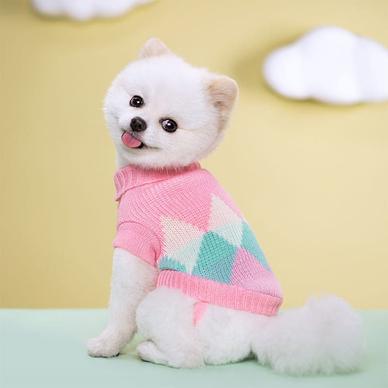 Ein flauschiger weißer Pomeranian, der einen gestrickten Hundepullover mit einem rosa Argyle-Muster trägt, das Pastellgrün und hellblaue Rauten zeigt, aus Wolle für Haustierbekleidung.