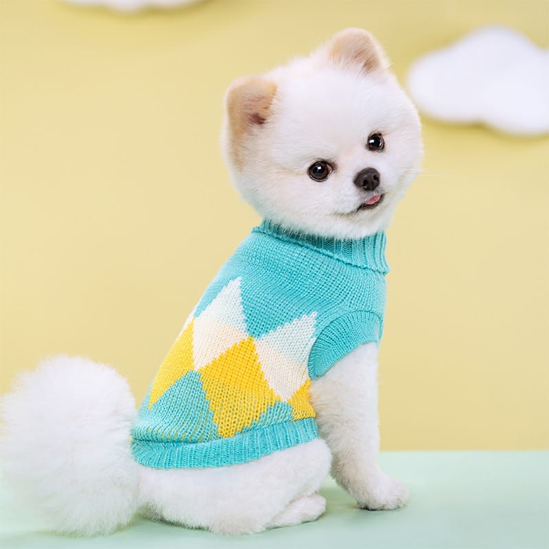 Ein flauschiger weißer Pomeranian, der einen türkis-gelben und cremefarbenen Zackenmuster- (Argyle-) gestrickten Hundepullover aus Wolle trägt, gestaltet als gestreiftes Blumenmuster für Haustierbekleidung