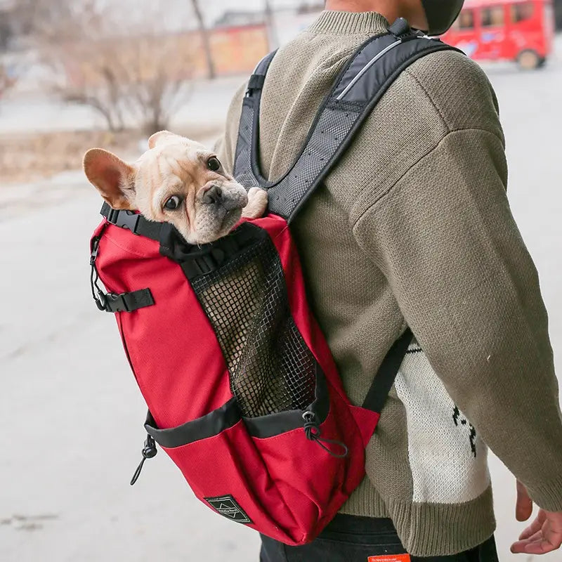 sac à dos rouge et noir de transport pour chien fabriqué en matériau de maille durable, doté d’un panneau latéral en mesh pour la ventilation, dans une conception de sac de voyage portable