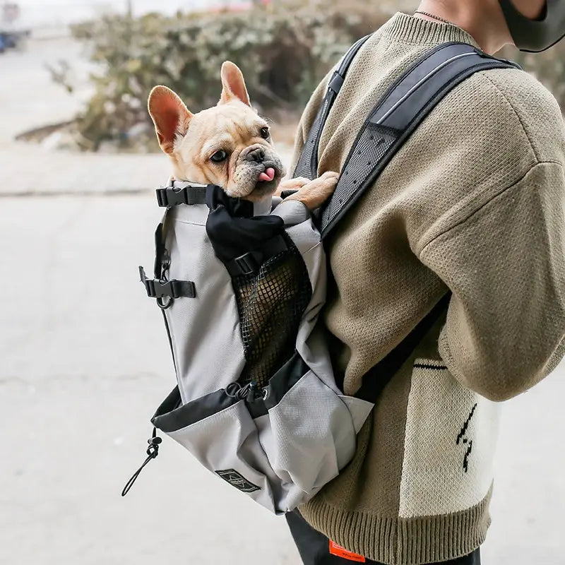 Sac à dos gris et noir de transport pour chien avec panneau latéral en mesh, conçu pour transporter de petits chiens pendant les déplacements