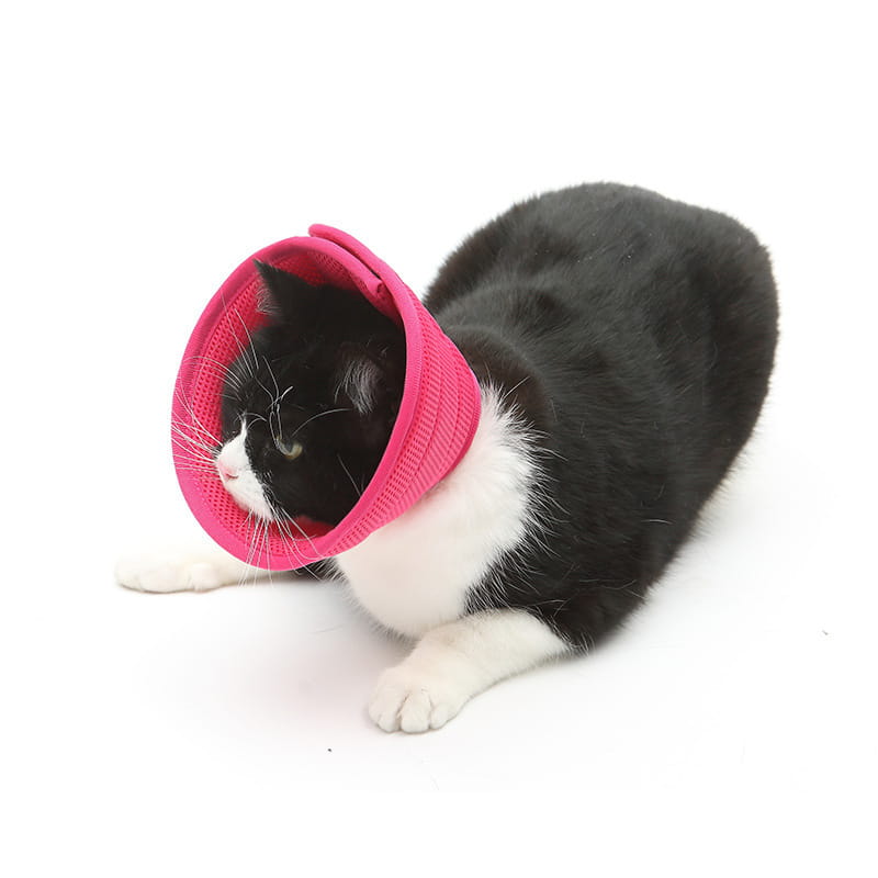 猫用のピンク色メッシュコーン。ペット回復用リカバリカラー(アンチバイトコーン)エリザベスカラー。回復期間中の舐めつきおよび噛みつきを防ぐことを目的とした設計です。