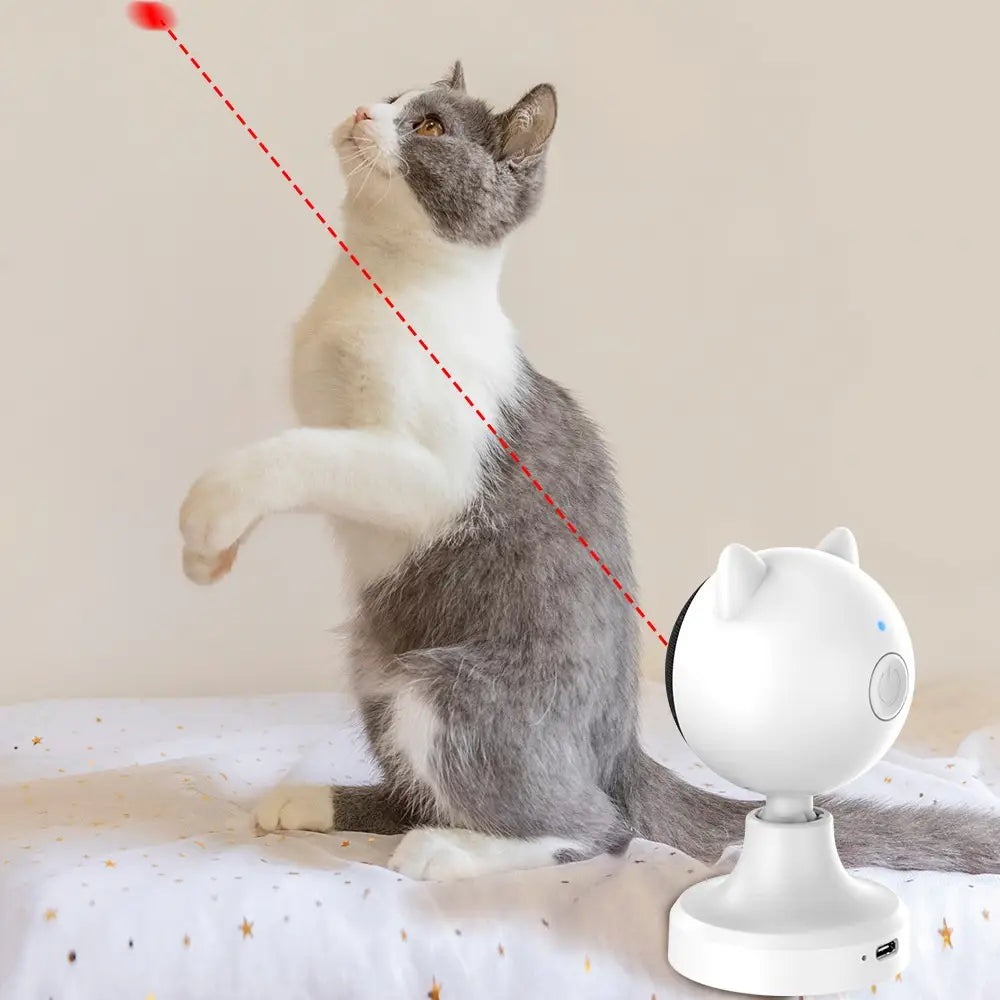 Smart Laser Cat Teaser Toy Usb Rechargeable Abs