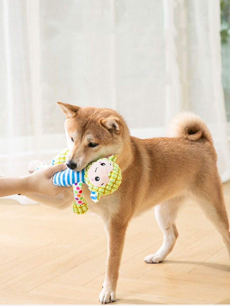Ein farbenfrohes Plüsch-Quietschhundespielzeug mit gestreiftem Körper und besticktem Gesicht, entworfen als interaktives Spielzeug zum Kauen auf Backenzähnen.