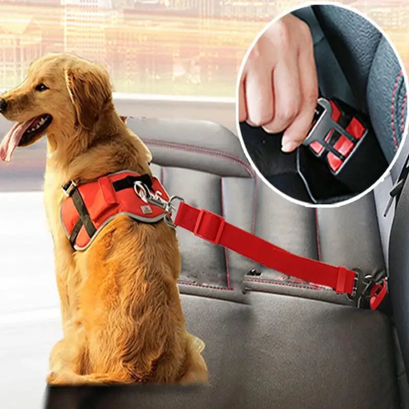 Ceinture de sécurité pour chien rouge et noire réglable pour siège de voiture, dispositif de retenue avec harnais, boucles métalliques, sangles réglables et clip d’attache à la ceinture de sécurité du siège de voiture.