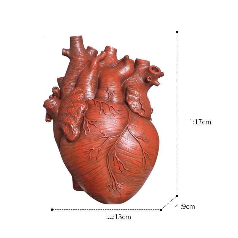 red terracotta anatomical heart vase with detailed features made of nordic resin used as a decorative flower pot