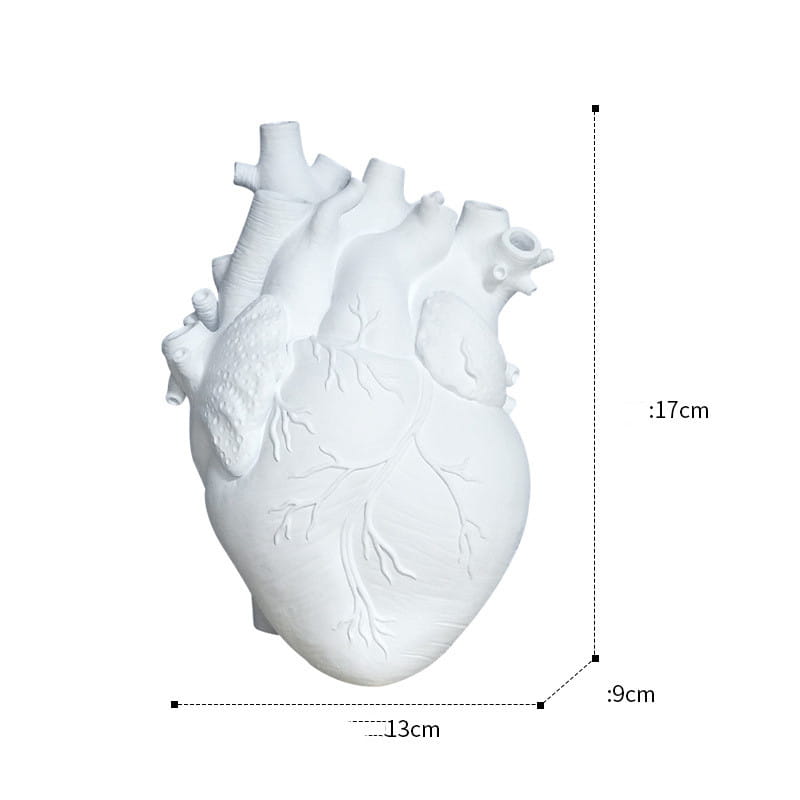 White anatomically detailed heart-shaped Nordic resin sculpture vase designed for use as a decorative flower pot.
