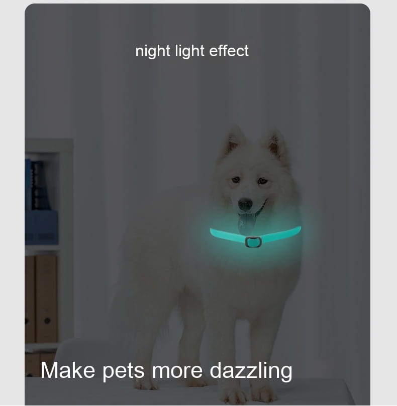 犬猫用の、発光するミントグリーン色のLED内蔵型光るノミ・ダニ首輪です。洗練された調節可能なデザインを備えています。