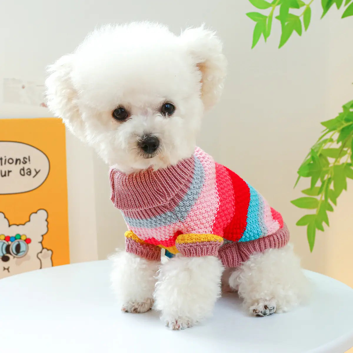 Pull pour animaux rayé et coloré pour petits chiens et chats