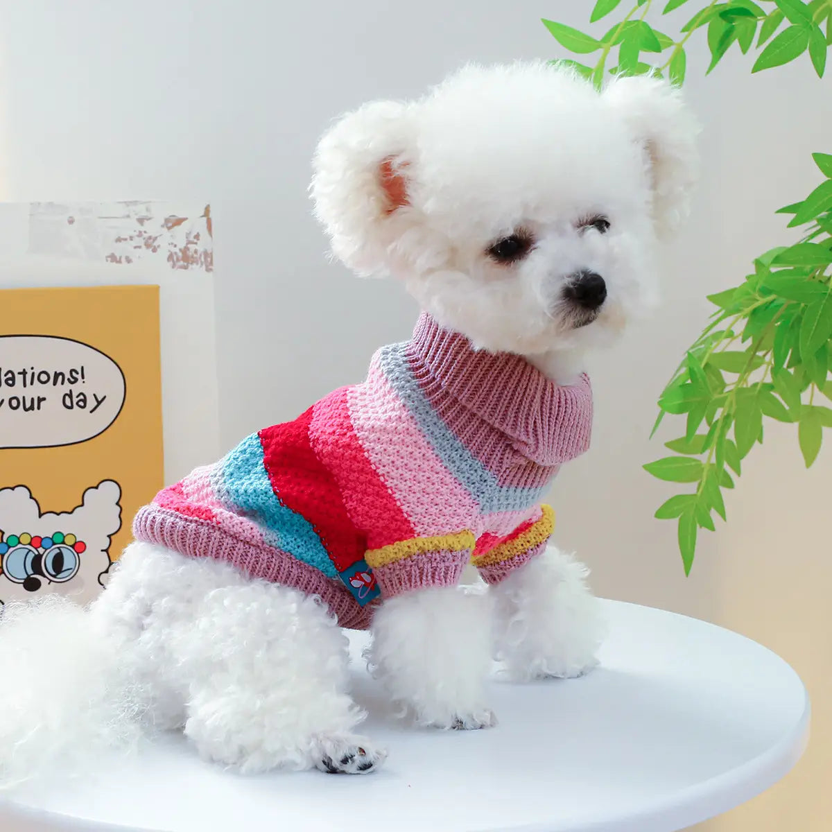 Pull pour animaux rayé et coloré pour petits chiens et chats