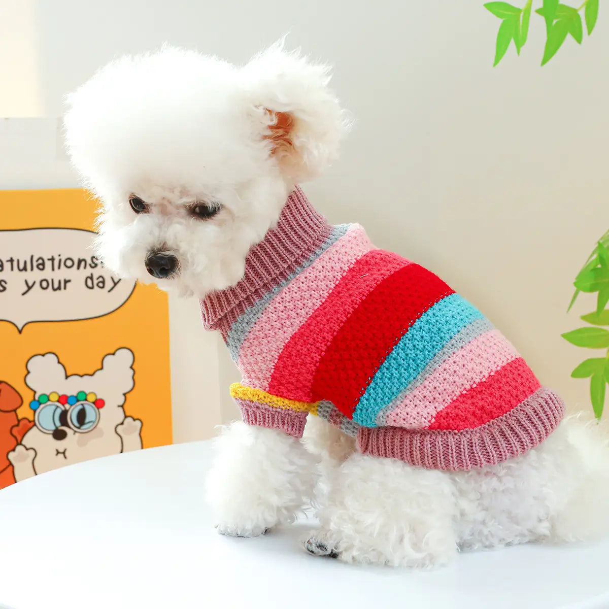 Pull pour animaux rayé et coloré pour petits chiens et chats