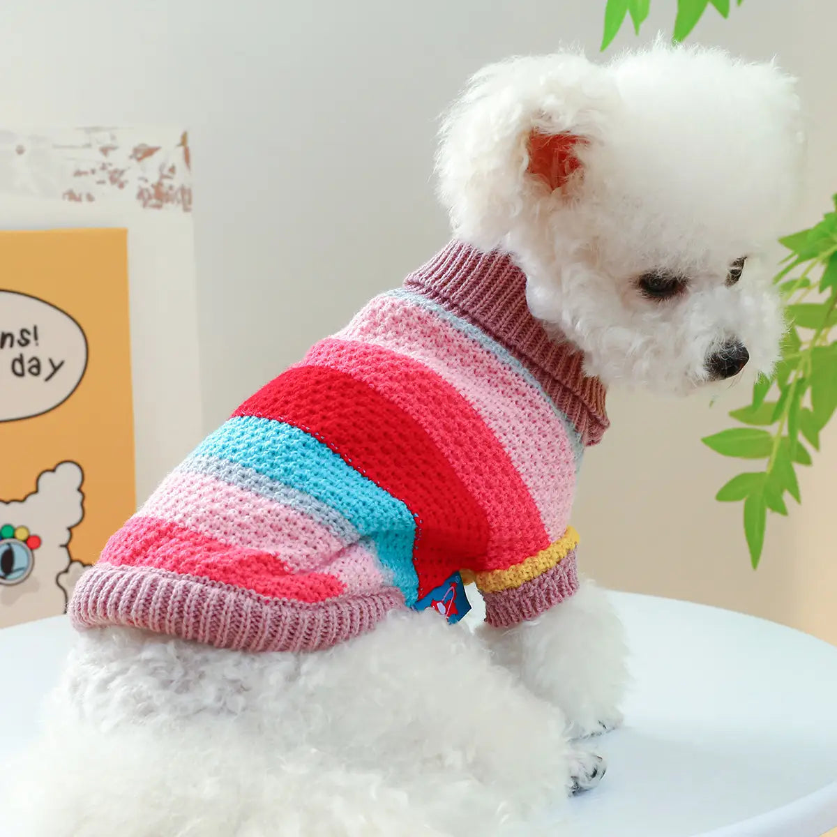 Pull pour animaux rayé et coloré pour petits chiens et chats