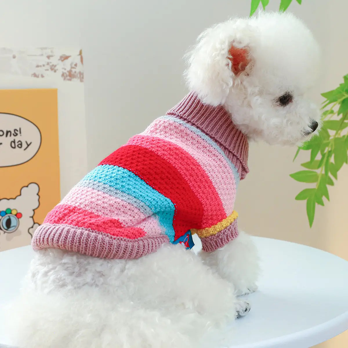 Pull pour animaux rayé et coloré pour petits chiens et chats