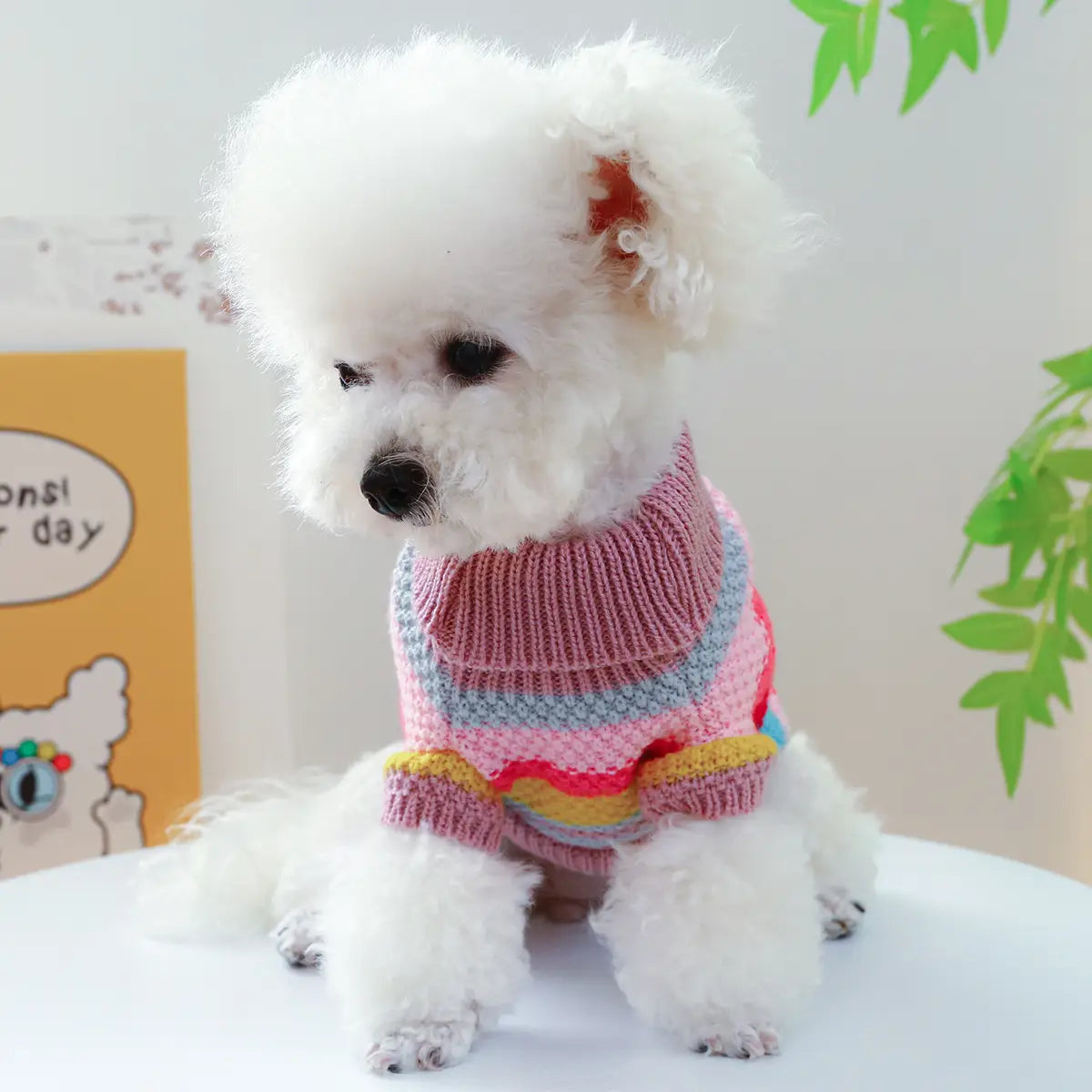 Pull pour animaux rayé et coloré pour petits chiens et chats