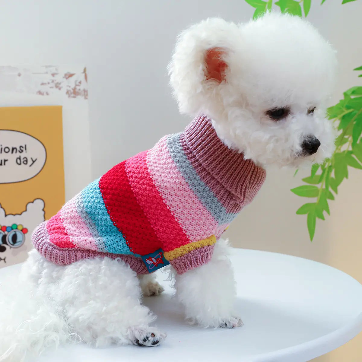 Pull pour animaux rayé et coloré pour petits chiens et chats