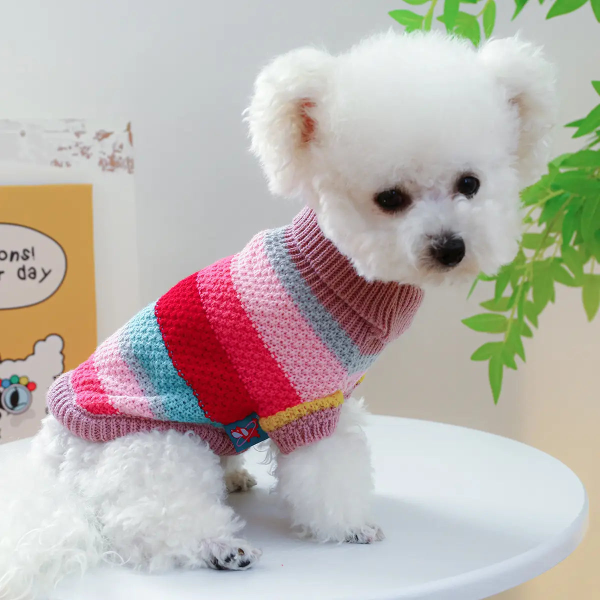 Pull pour animaux rayé et coloré pour petits chiens et chats