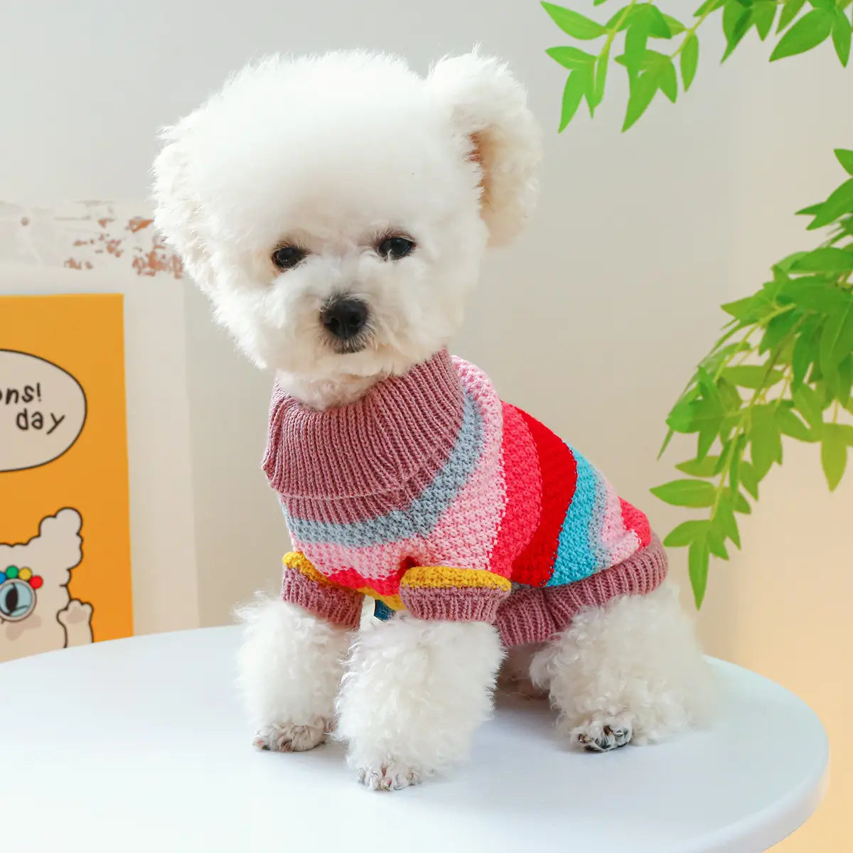 Pull pour animaux rayé et coloré pour petits chiens et chats
