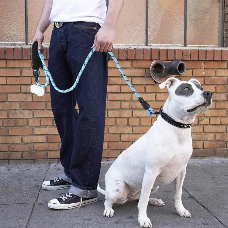 Laisse pour chien réfléchissante bleu clair avec poignée noire en plastique rembourrée, tressage en nylon et breloque blanche en forme de patte.