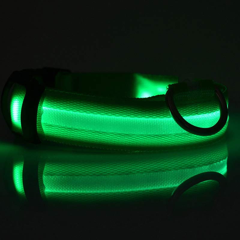 A glowing green reflective led dog collar made of nylon with a black metal ring for night safety and pet leash use.