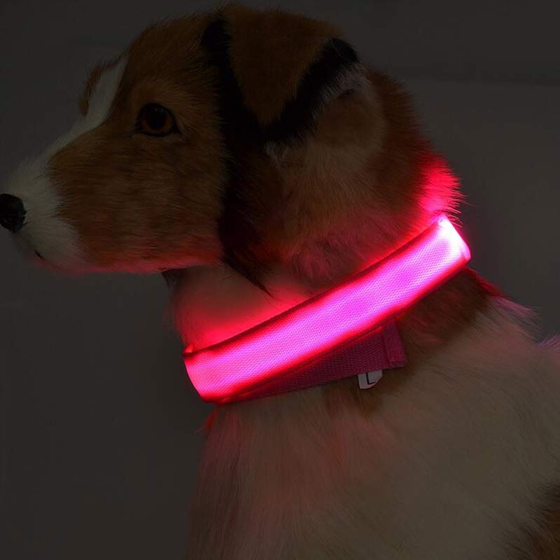 A glowing red led dog collar with a soft flexible nylon band designed for night safety.