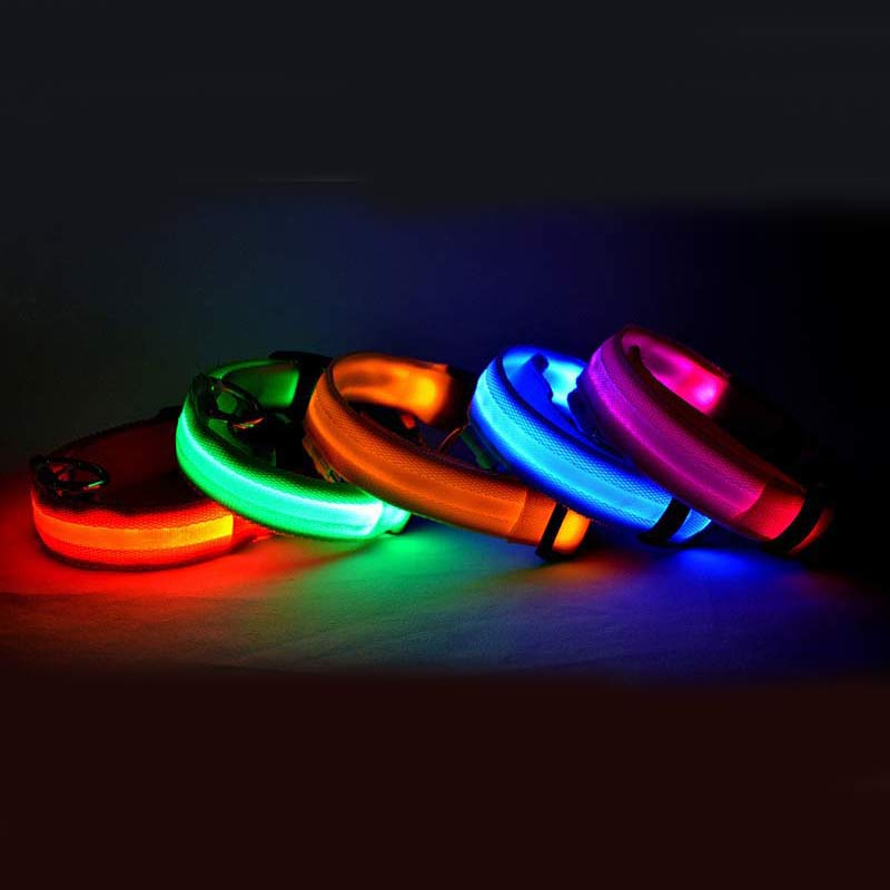 A set of five glowing led dog collars in red green orange blue and purple nylon designed for night safety and visibility.