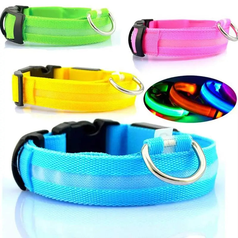 led dog collar night safety glowing nylon pet leash in neon green pink yellow and blue with black plastic buckles and silver metal d-rings.