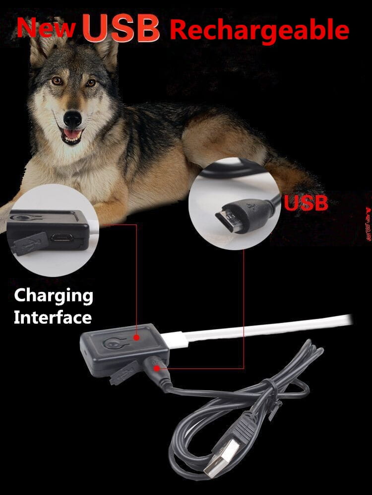 Black USB rechargeable charging interface with white cable and black connectors for LED dog collar night safety glowing nylon pet leash.
