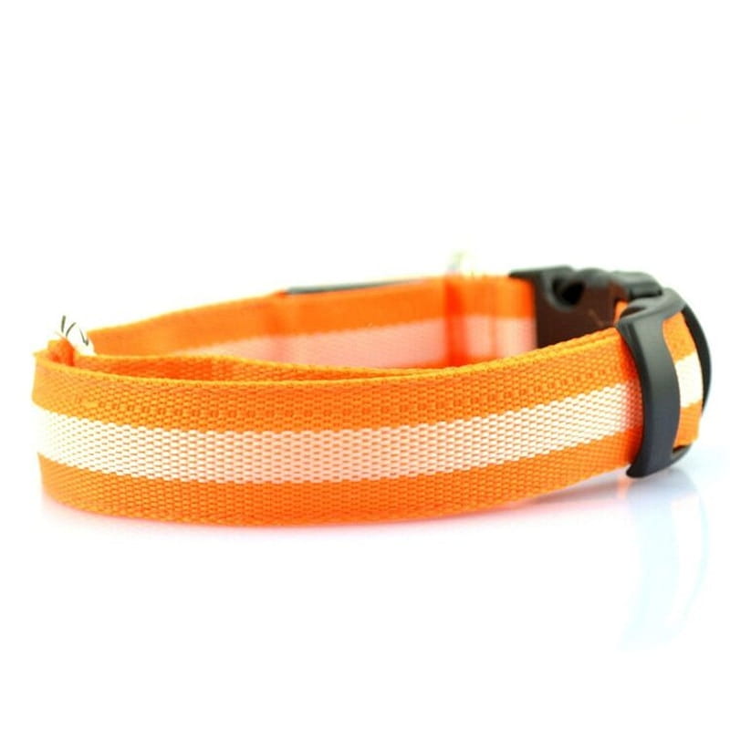bright orange reflective led dog collar with white stripes and black plastic buckle made of nylon for night safety and pet leash use