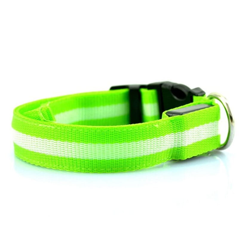 led dog collar night safety glowing nylon pet leash in bright neon green reflective material with white stripes and black plastic buckle.