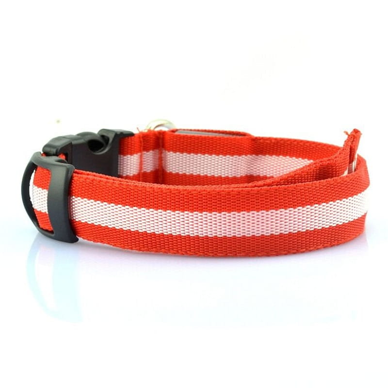 Red and white striped nylon led dog collar with black plastic buckle designed for night safety and glowing pet leash use.