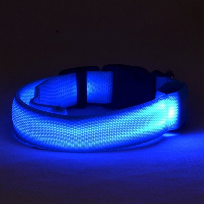 Blue led dog collar with woven nylon fabric strap and black plastic buckle for night safety and glowing visibility.