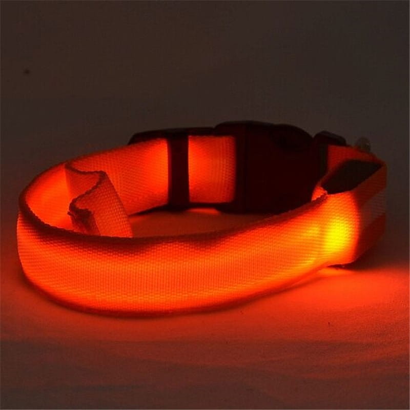 Orange glowing led dog collar with black plastic buckle made of nylon for night safety and pet leash use.