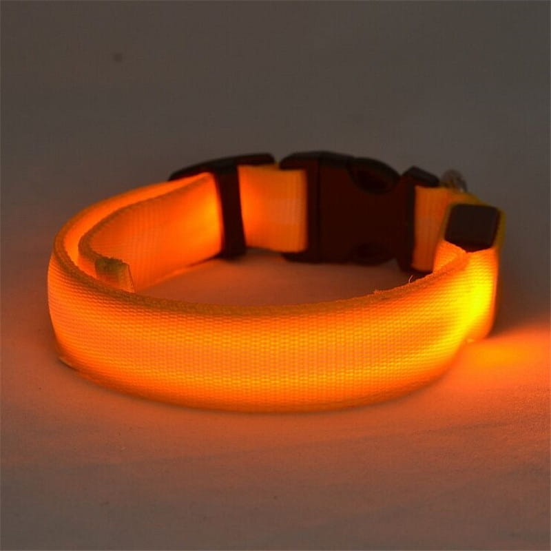 orange glowing led dog collar with black plastic buckle made of nylon for night safety and pet leash use