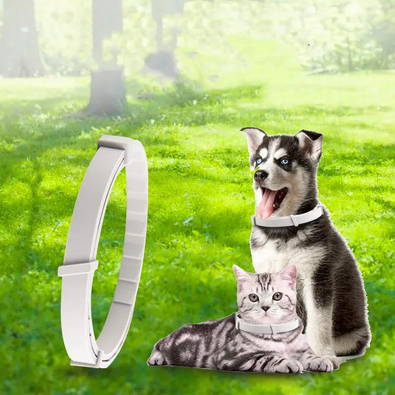 調節可能なバックルと滑らかで柔軟なデザインを備えた、犬および猫用のホワイトのシリコーン製ノミ・マダニ用首輪で、8か月間の保護を提供します