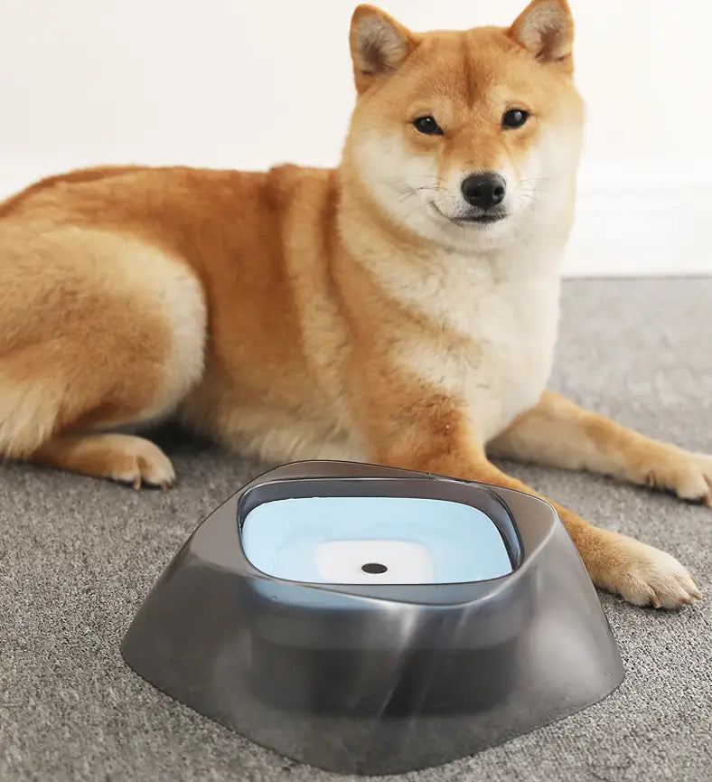 グレーとライトブルーのノンスピル（こぼれ防止）ドッグ用ウォーターボウル。水しぶきを防ぐ洗練されたモダンなデザインで、ペットの給水を安全に行えます。