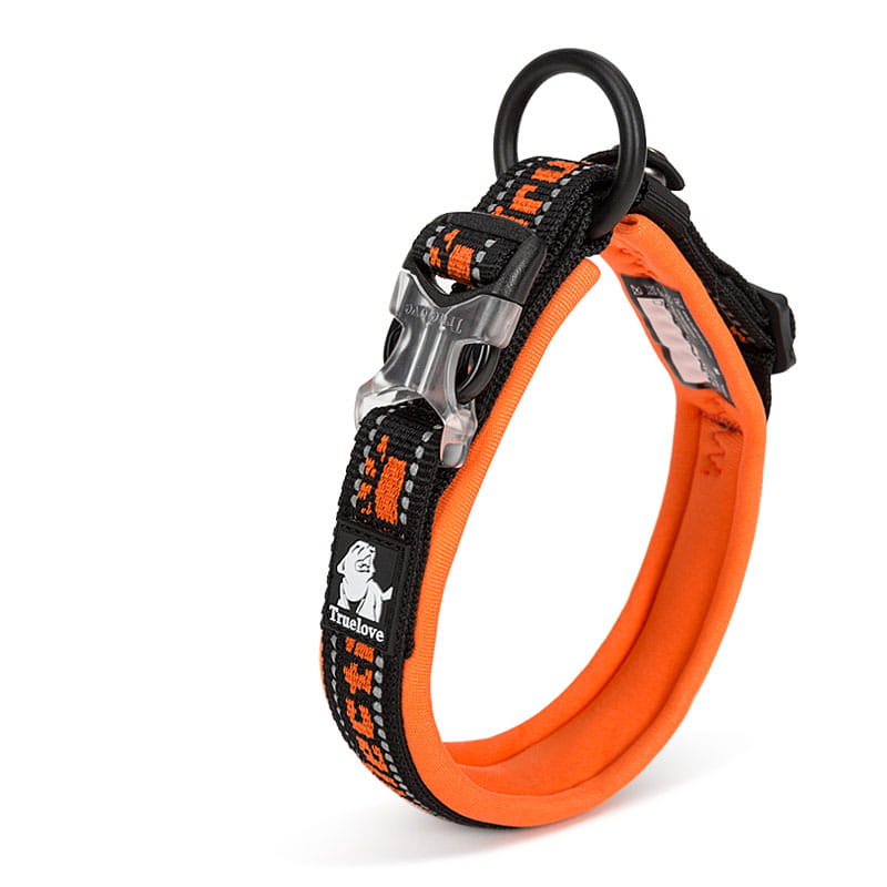 Großes Hundetraining-Collar, aus kräftigem Orange und schwarzem Karo gewebtes Nylon, mit silberfarbenem Schnallenverschluss und markenbezogenem Patch.