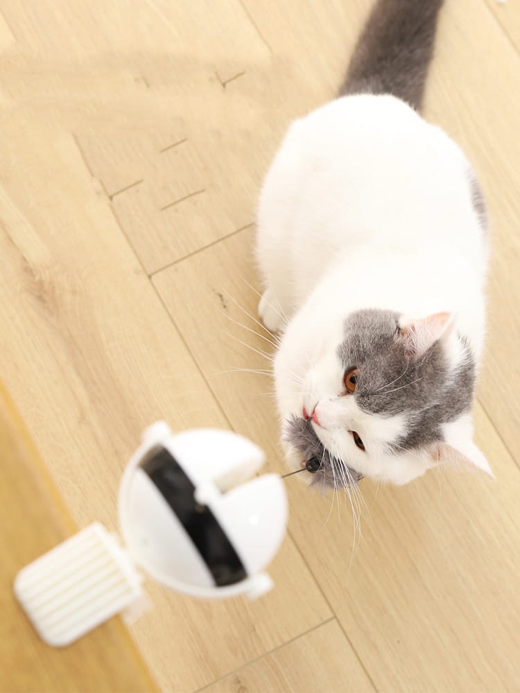 Jouet de chat robot blanc avec bandeau noir à capteurs et base en plastique, conçu comme une bille teaser à levage automatique, jouet interactif pour chat.