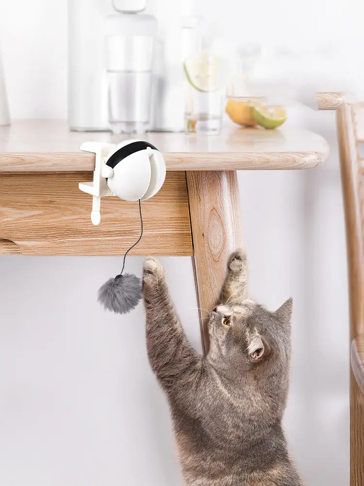Jouet interactif pour chat à bille teaser à levage automatique, avec un jouet pour chat duveteux blanc et noir, et un pompon gris suspendu à une corde.