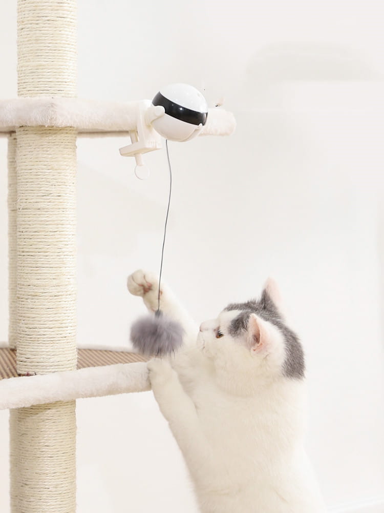 Jouet interactif pour chat à bille teaser à levage automatique, avec un chat robot blanc et noir et un pompon gris duveteux suspendu à une corde pour un jeu engageant.