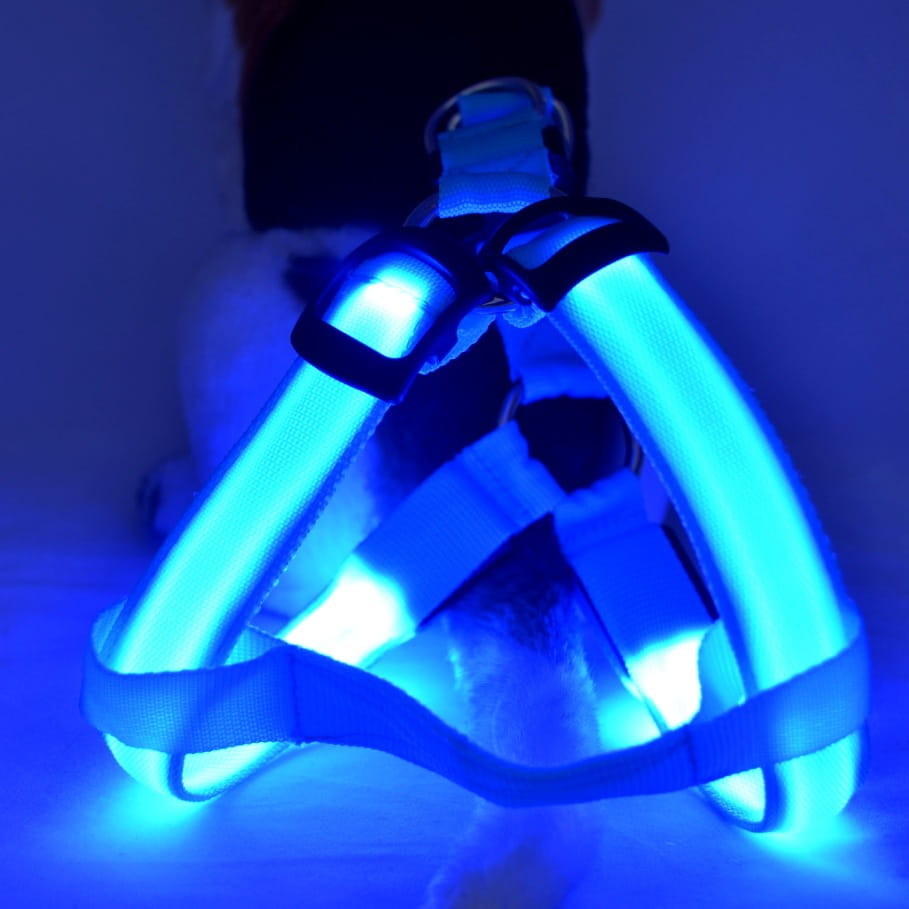 Blue led light up dog harness with glowing reflective straps and black adjustable buckles designed for pet safety and visibility.