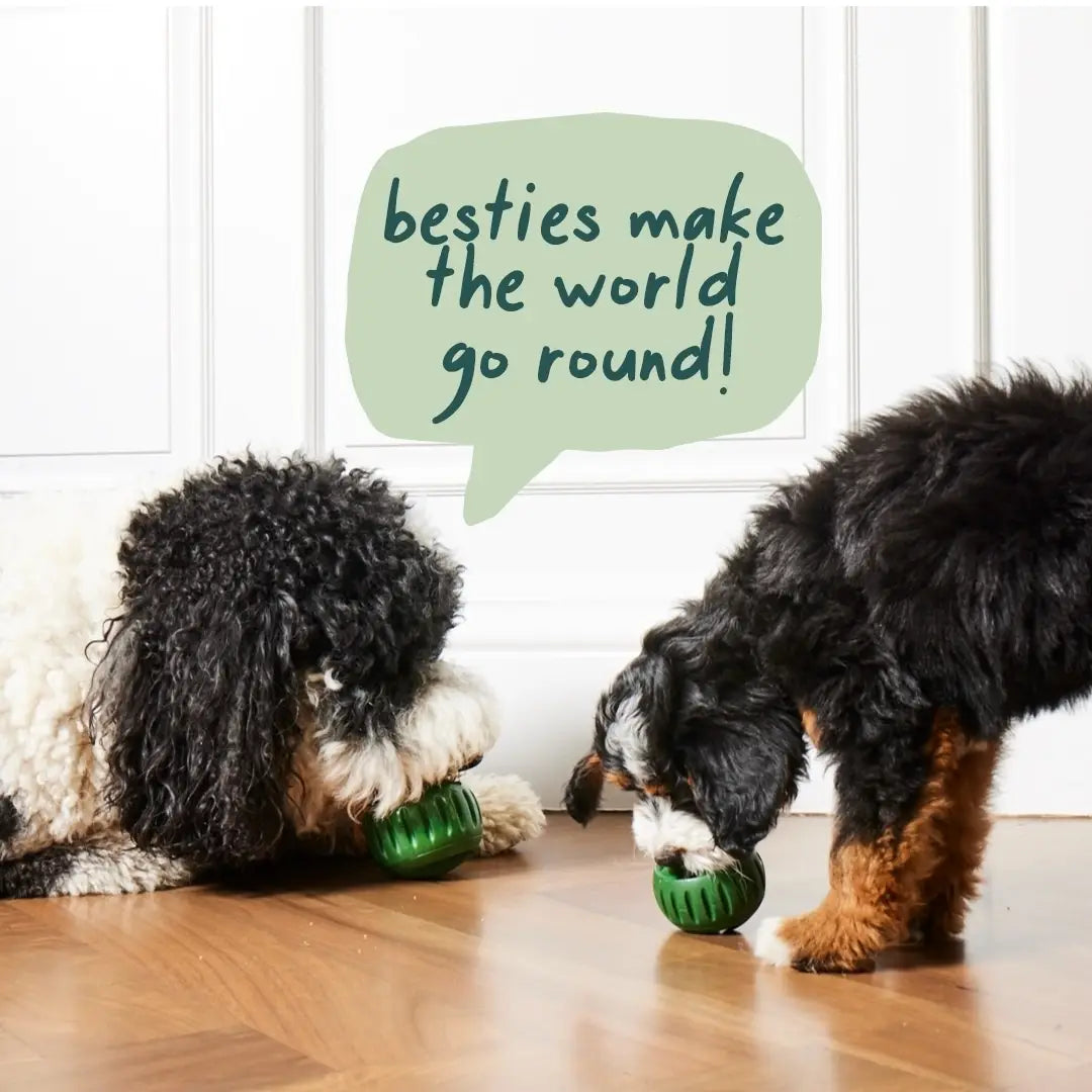 Hundesilikon-Slow-Feeder-Ball- und Tablett-Spielzeugset