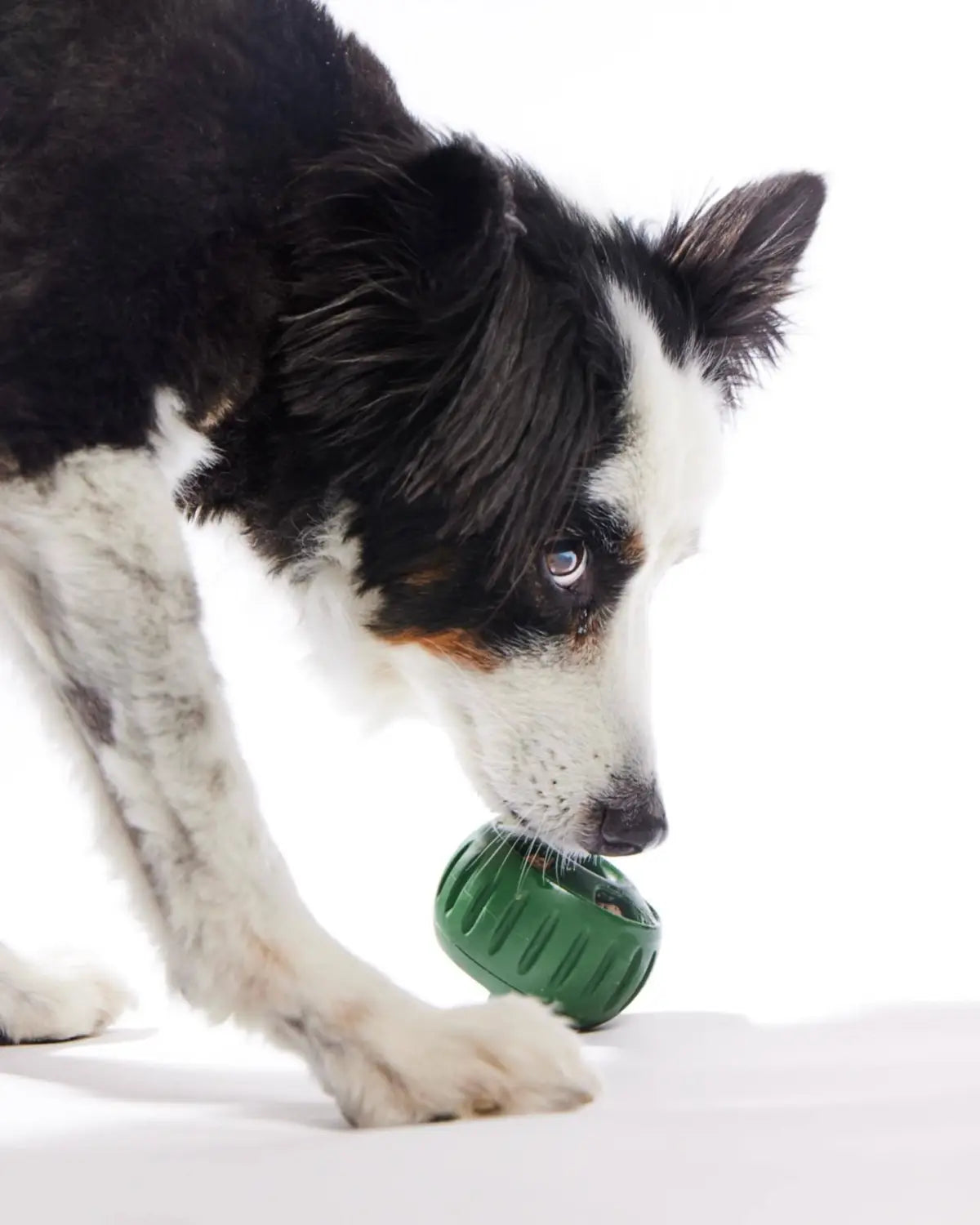 Hundesilikon-Slow-Feeder-Ball- und Tablett-Spielzeugset