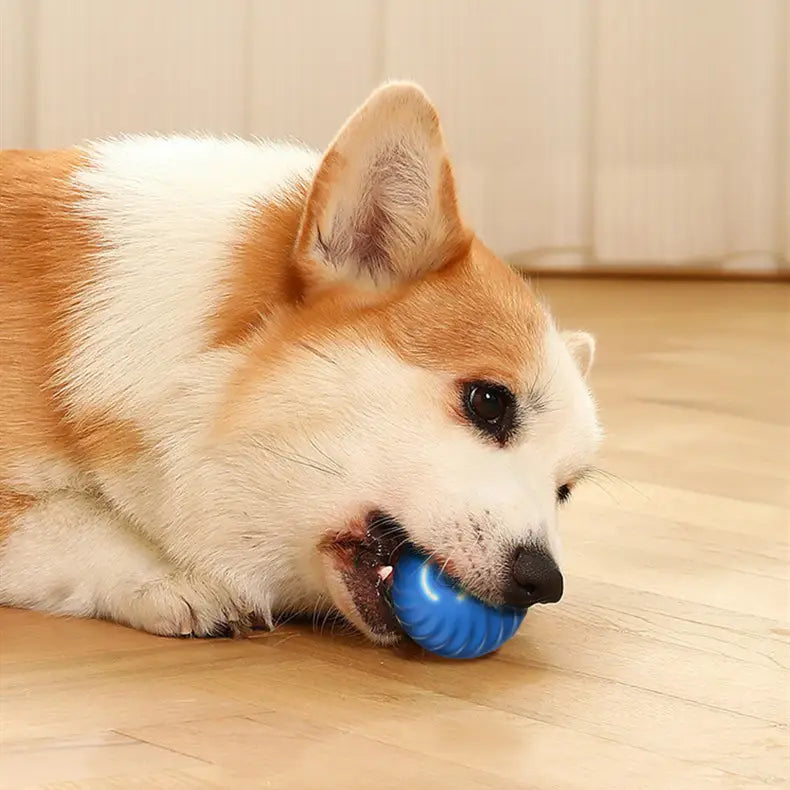 Dog Toy Rubber Ball for Aggressive Chewers Training