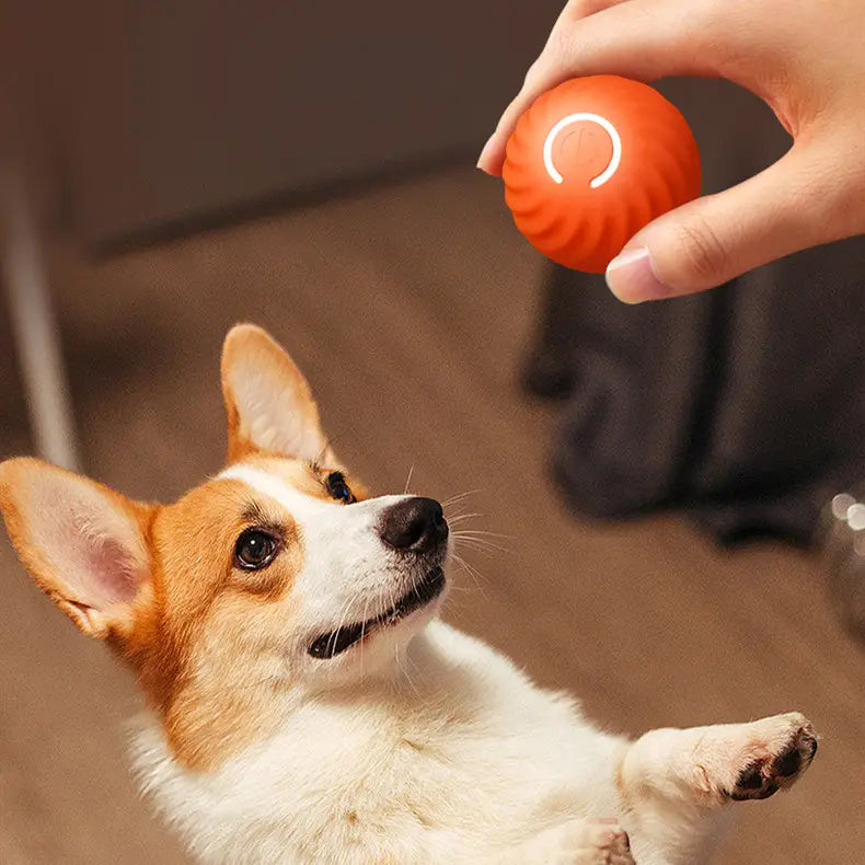 Dog Toy Rubber Ball for Aggressive Chewers Training