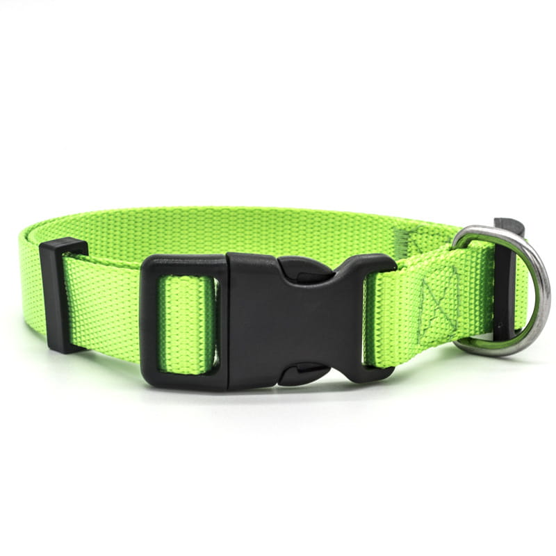 Bright neon green nylon dog collar with adjustable strap featuring a black plastic buckle and silver metal d-ring for pet neck safety.