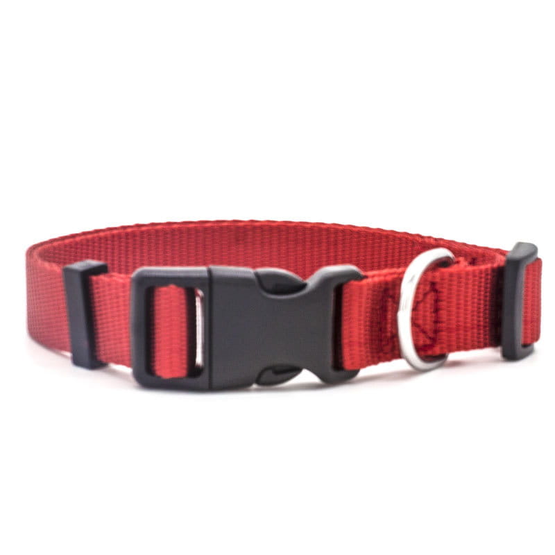 Red nylon dog collar with adjustable black plastic buckle and silver metal d-ring for pet neck strap.