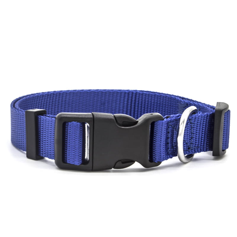 Royal blue nylon adjustable dog collar with black plastic buckle and silver metal d-ring for pet neck strap.