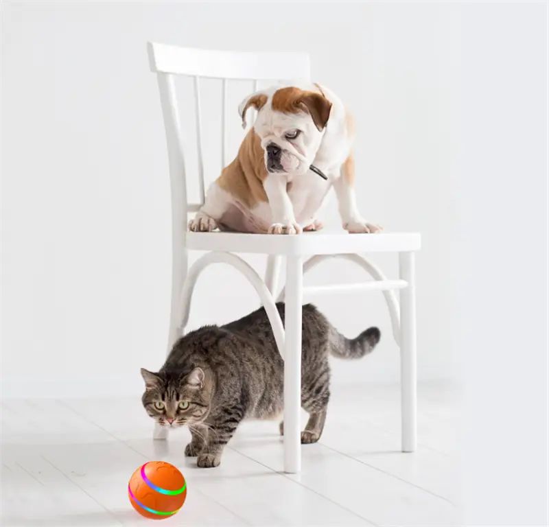 Interactive Cat Ball Toy Automatic Usb Rotating Ball