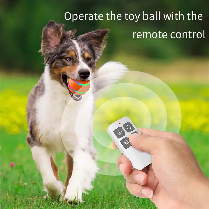 Interactive Cat Ball Toy Automatic Usb Rotating Ball